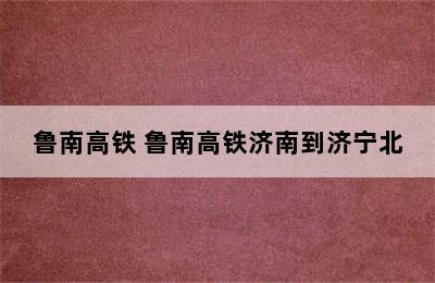 鲁南高铁 鲁南高铁济南到济宁北